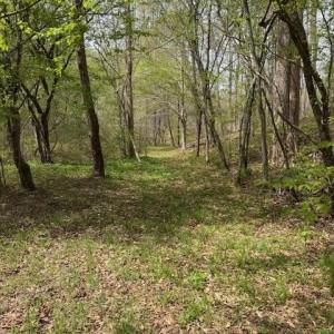 Photo #2 of 1636 Baker Crossroad, Reidsville, NC 29.5 acres