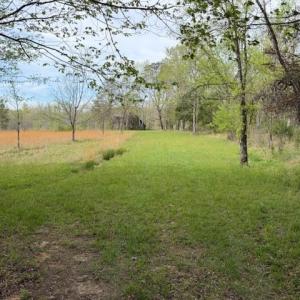 Photo #13 of 1636 Baker Crossroad, Reidsville, NC 29.5 acres