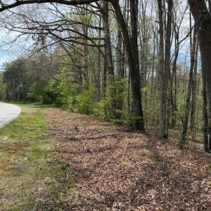 Photo #17 of 1636 Baker Crossroad, Reidsville, NC 29.5 acres