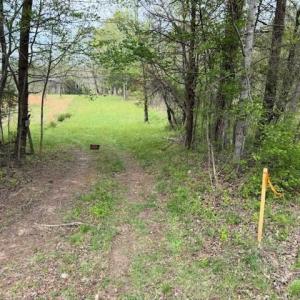 Photo #12 of 1636 Baker Crossroad, Reidsville, NC 29.5 acres
