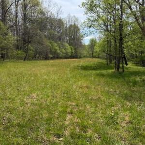 Photo #1 of 1636 Baker Crossroad, Reidsville, NC 29.5 acres