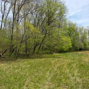 Photo #28 of 1636 Baker Crossroad, Reidsville, NC 29.5 acres