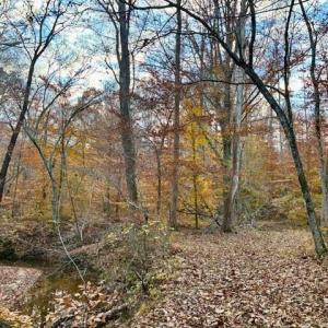 Photo #20 of 1636 Baker Crossroad, Reidsville, NC 29.5 acres