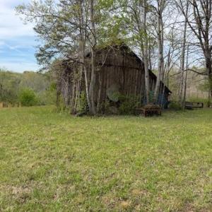 Photo #14 of 1636 Baker Crossroad, Reidsville, NC 29.5 acres