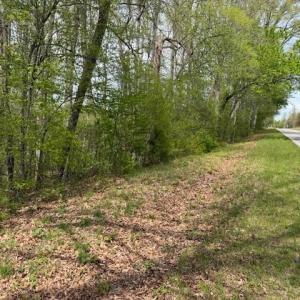 Photo #18 of 1636 Baker Crossroad, Reidsville, NC 29.5 acres