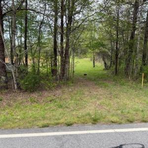 Photo #11 of 1636 Baker Crossroad, Reidsville, NC 29.5 acres