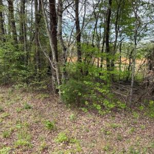 Photo #29 of 1636 Baker Crossroad, Reidsville, NC 29.5 acres