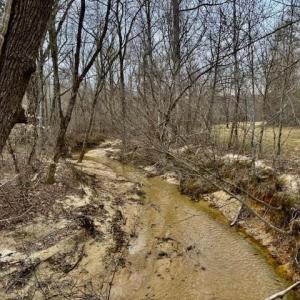 Photo #4 of 1636 Baker Crossroad, Reidsville, NC 29.5 acres