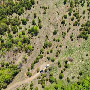 Photo #7 of Knoll Ridge, Burlington, NC 27.9 acres