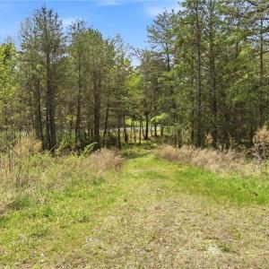 Photo #14 of 1355 Spainhour Mill, Pinnacle, NC 5.9 acres