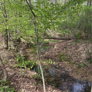 Photo #2 of Will Boone, Mocksville, NC 2.5 acres