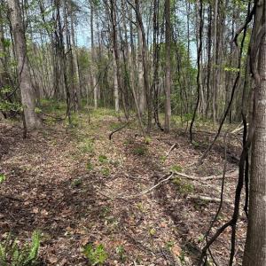 Photo #1 of Will Boone, Mocksville, NC 2.5 acres
