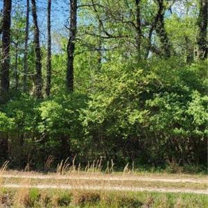 Photo #2 of 1642 R2 Kersey Valley, Archdale, NC 1.8 acres