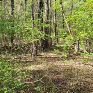 Photo #13 of 1642 R2 Kersey Valley, Archdale, NC 1.8 acres