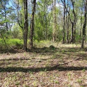 Photo #17 of 1642 R2 Kersey Valley, Archdale, NC 1.8 acres