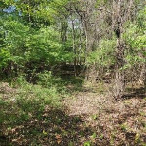 Photo #22 of 1642 R2 Kersey Valley, Archdale, NC 1.8 acres