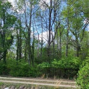 Photo #32 of 1642 R2 Kersey Valley, Archdale, NC 1.8 acres