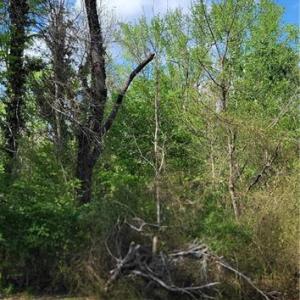 Photo #30 of 1642 R2 Kersey Valley, Archdale, NC 1.8 acres