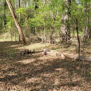 Photo #10 of 1642 R2 Kersey Valley, Archdale, NC 1.8 acres