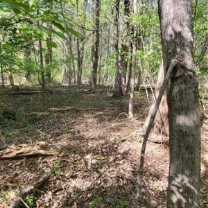 Photo #21 of 1642 R2 Kersey Valley, Archdale, NC 1.8 acres