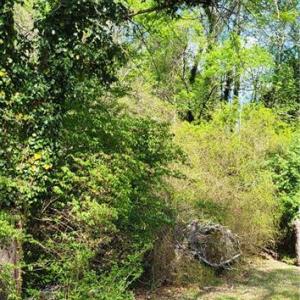 Photo #27 of 1642 R2 Kersey Valley, Archdale, NC 1.8 acres