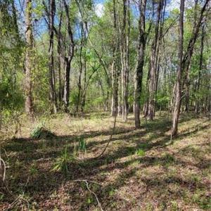 Photo #16 of 1642 R2 Kersey Valley, Archdale, NC 1.8 acres