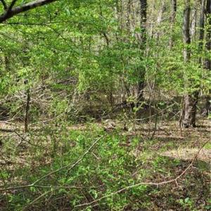 Photo #12 of 1642 R2 Kersey Valley, Archdale, NC 1.8 acres