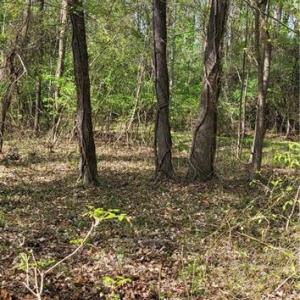 Photo #7 of 1642 R2 Kersey Valley, Archdale, NC 1.8 acres