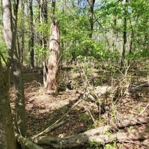 Photo #1 of 1642 R2 Kersey Valley, Archdale, NC 1.8 acres