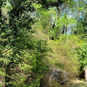 Photo #28 of 1642 R2 Kersey Valley, Archdale, NC 1.8 acres