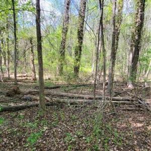 Photo #20 of 1642 R2 Kersey Valley, Archdale, NC 1.8 acres