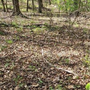 Photo #9 of 1642 R2 Kersey Valley, Archdale, NC 1.8 acres