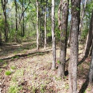 Photo #14 of 1642 R2 Kersey Valley, Archdale, NC 1.8 acres