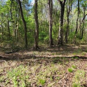 Photo #15 of 1642 R2 Kersey Valley, Archdale, NC 1.8 acres