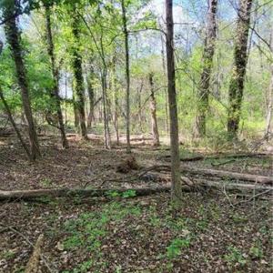 Photo #19 of 1642 R2 Kersey Valley, Archdale, NC 1.8 acres