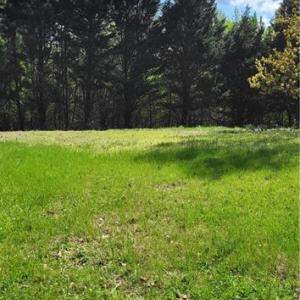 Photo #10 of 1644 Kersey Valley, Archdale, NC 1.1 acres