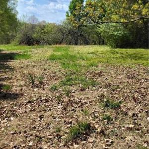 Photo #14 of 1644 Kersey Valley, Archdale, NC 1.1 acres