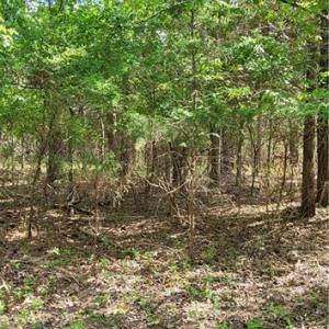 Photo #6 of 1648 R2 & R3 Kersey Valley, Archdale, NC 0.9 acres