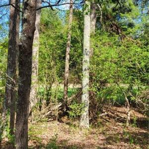 Photo #13 of 1648 R2 & R3 Kersey Valley, Archdale, NC 0.9 acres