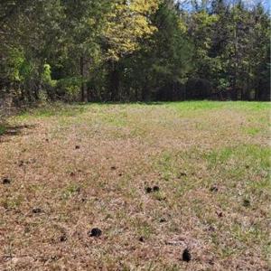 Photo #20 of 1648 R2 & R3 Kersey Valley, Archdale, NC 0.9 acres