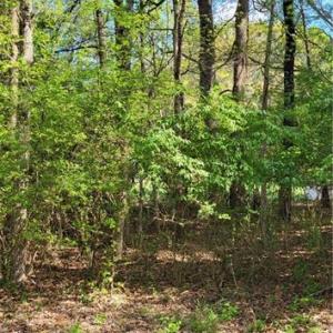 Photo #9 of 1648 R2 & R3 Kersey Valley, Archdale, NC 0.9 acres