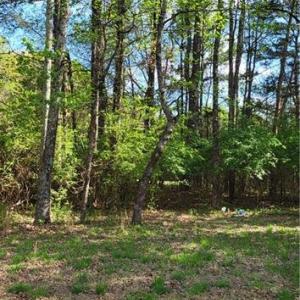 Photo #14 of 1648 R2 & R3 Kersey Valley, Archdale, NC 0.9 acres