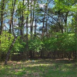 Photo #15 of 1648 R2 & R3 Kersey Valley, Archdale, NC 0.9 acres