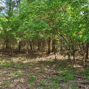 Photo #7 of 1648 R2 & R3 Kersey Valley, Archdale, NC 0.9 acres
