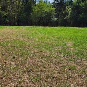 Photo #21 of 1648 R2 & R3 Kersey Valley, Archdale, NC 0.9 acres
