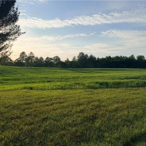 Photo #2 of Powell, Woodleaf, NC 20.3 acres