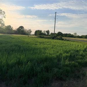 Photo #6 of Powell, Woodleaf, NC 20.3 acres