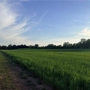 Photo #7 of Powell, Woodleaf, NC 20.3 acres