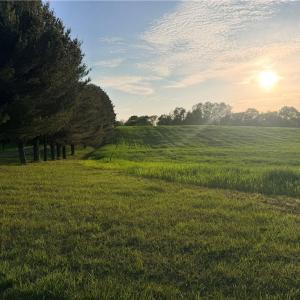 Photo #3 of Powell, Woodleaf, NC 20.3 acres