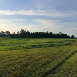 Photo #1 of Powell, Woodleaf, NC 20.3 acres